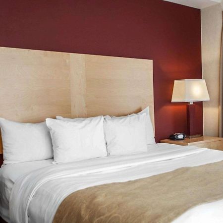 Comfort Suites Michigan Avenue Chicago Eksteriør bilde