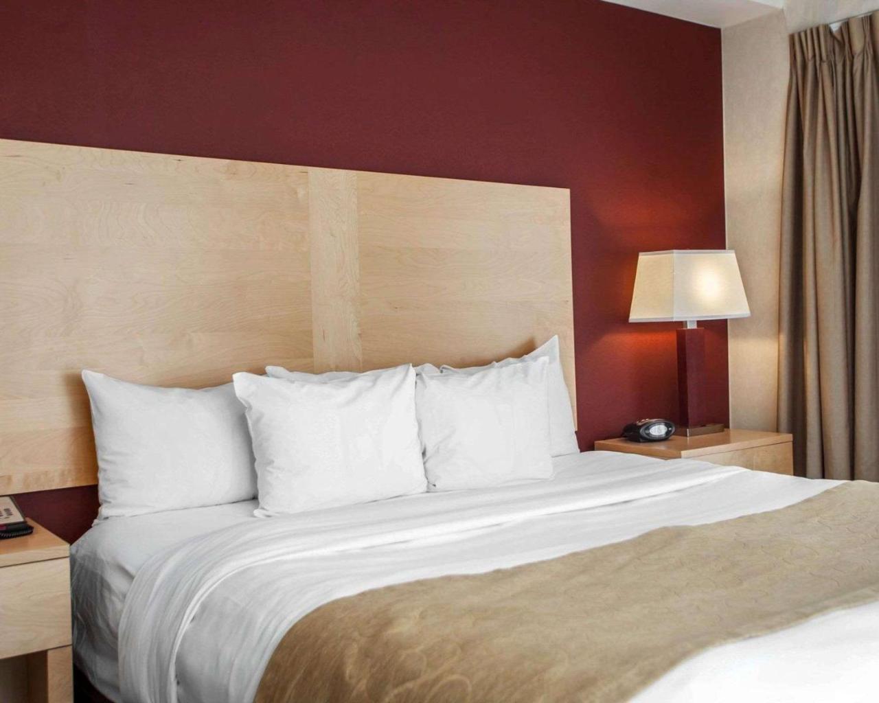 Comfort Suites Michigan Avenue Chicago Eksteriør bilde