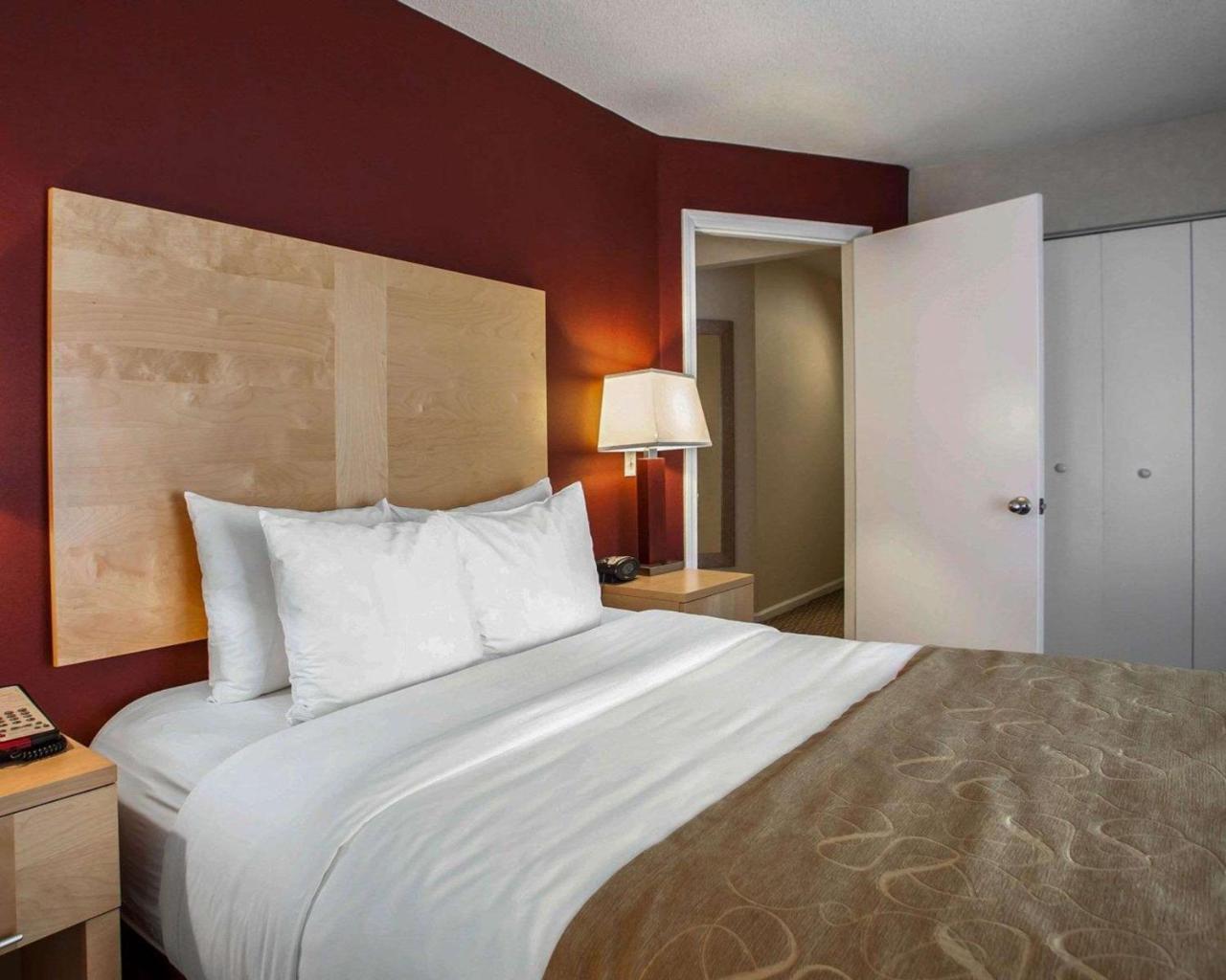 Comfort Suites Michigan Avenue Chicago Eksteriør bilde