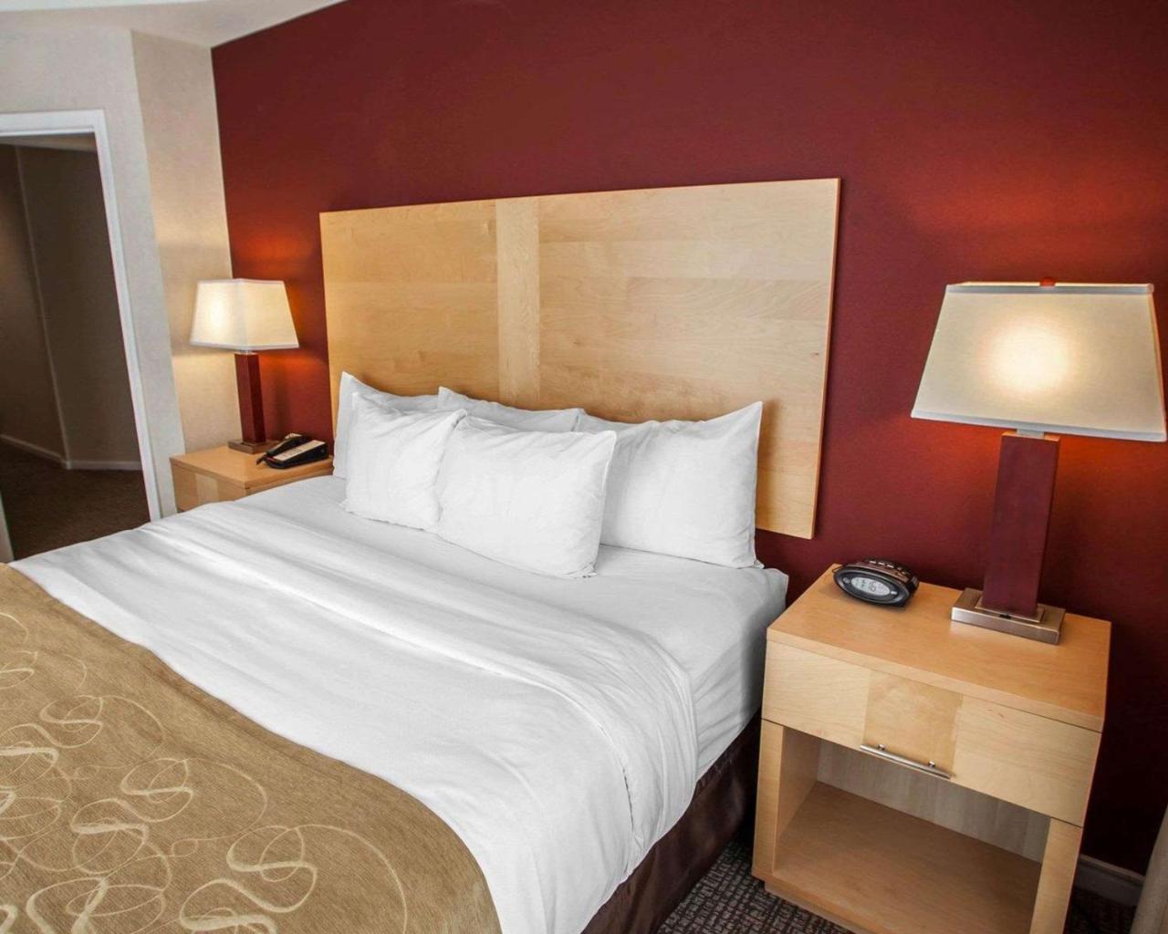 Comfort Suites Michigan Avenue Chicago Eksteriør bilde