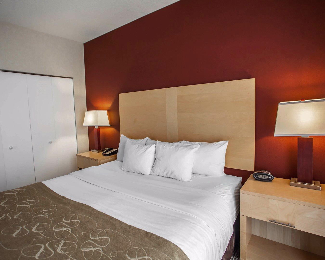 Comfort Suites Michigan Avenue Chicago Eksteriør bilde